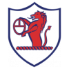 https://img.syhuojia.net/img/football/team/11fb72f7b5eacfc881ee11bac75871fa.png