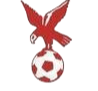 https://img.syhuojia.net/img/football/team/4802d26df935b78bb2fcdbbff36e8864.png