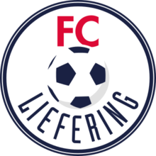 https://img.syhuojia.net/img/football/team/bfeb14c5a9727a76294491a2702f01a7.png